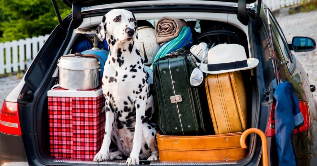 Misstagen du vill undvika på bilsemestern