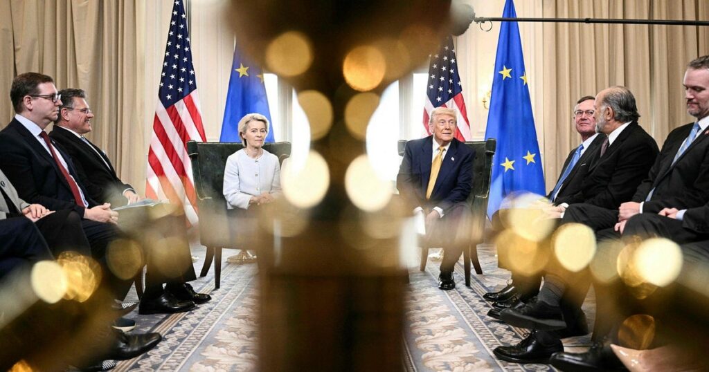 Felicia Åkerman: Ett Ojämnt Avtal