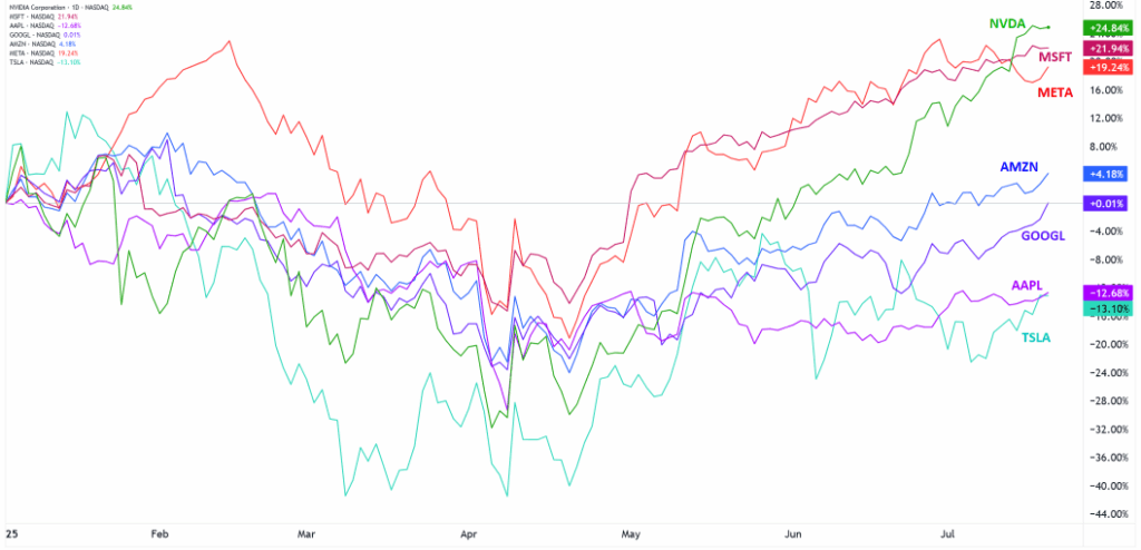 Year-to-Date Performance of Mag 7 Stocks (2025)